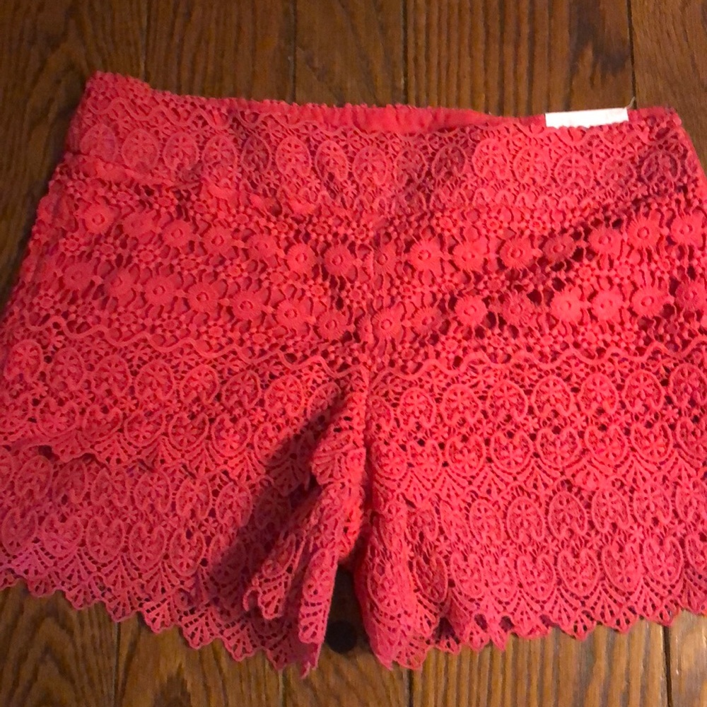 NWT Pink Ann Taylor Loft Shorts
